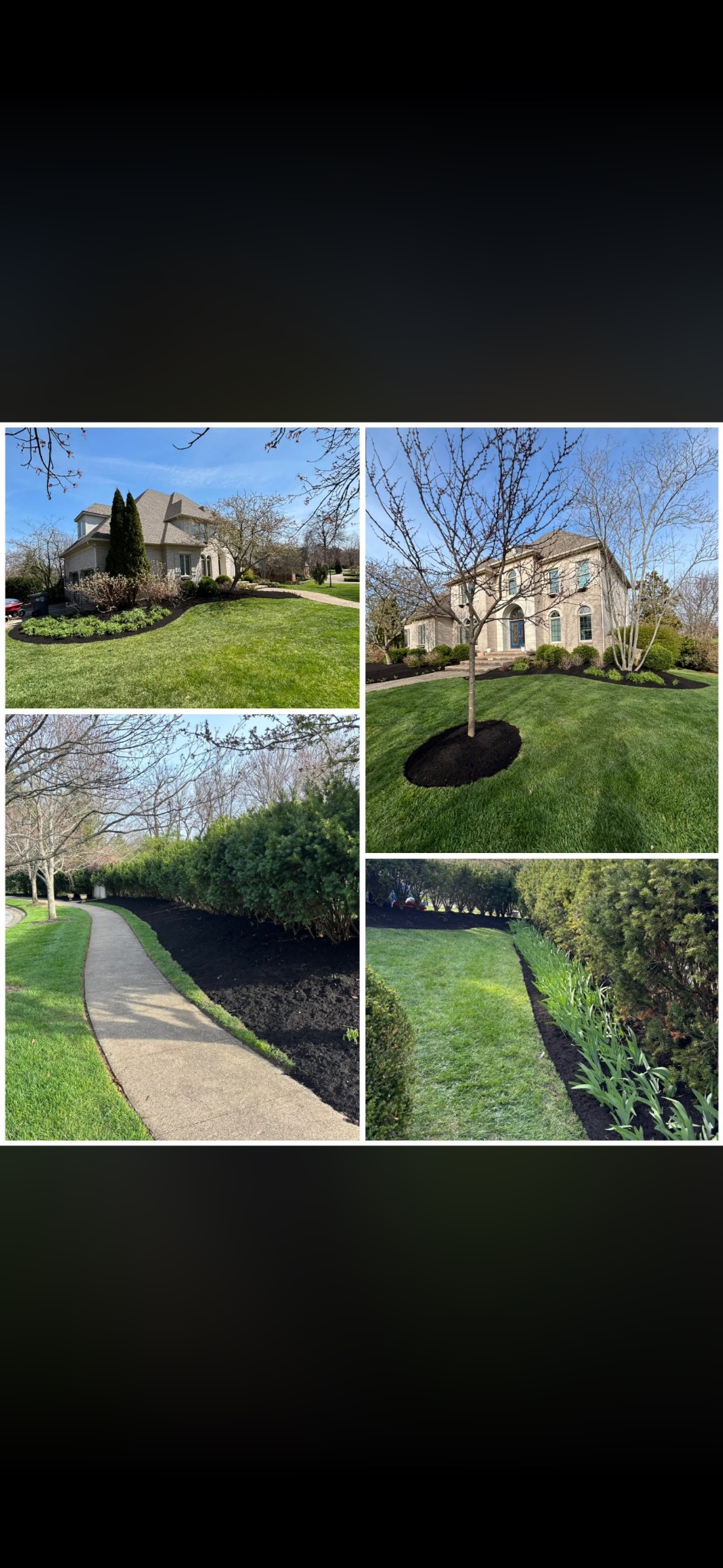Landscape beds and lawn care showcase